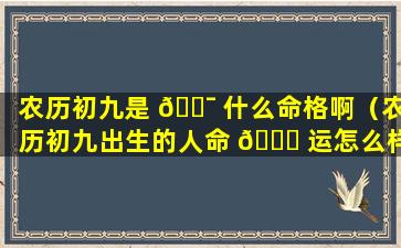农历初九是 🐯 什么命格啊（农历初九出生的人命 🐅 运怎么样）